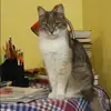Отзыв от Элла Михеева